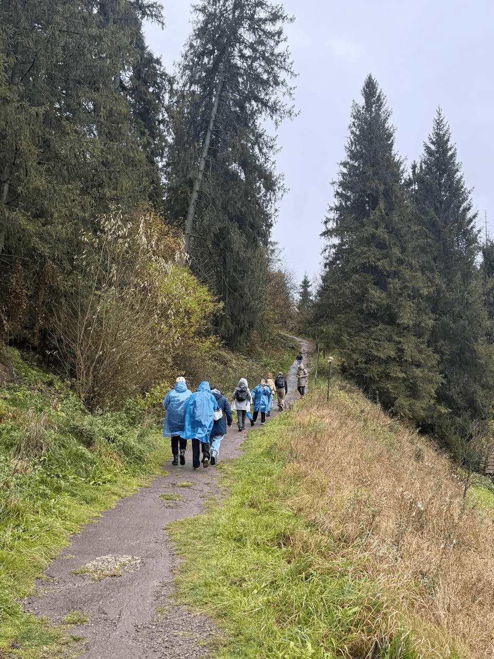Практика в Карпатах: магістранти опановували сучасні підходи до рекреації та реабілітації