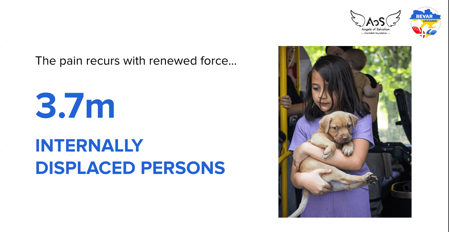 Ментальне здоров’я та війна: участь викладачки СНУ ім. В. Даля у міжнародному заході