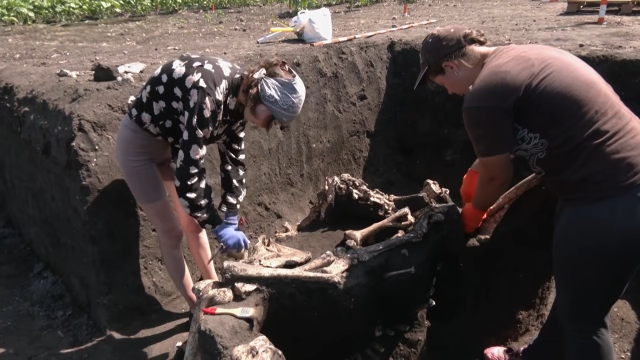 Студенти СНУ ім. В. Даля дослідили сім поховань під час розкопок поблизу Меджибожа
