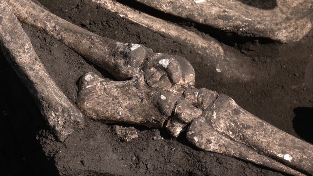 Студенти СНУ ім. В. Даля дослідили сім поховань під час розкопок поблизу Меджибожа